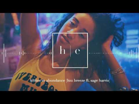 Luu Breeze - Kitties In Abundance Ft. Sage Harris [Prod. Zepfire]