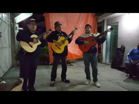 Tardes De Bohemia /Trío - Albricias Ft. Mauricio Vélez