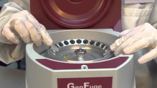 Using the microcentrifuge