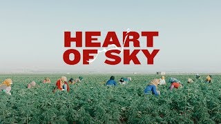 Heart of Sky // short by Jessy Moussallem