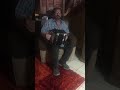 Jo-EL Sonnier sings Chere Toute-Toute
