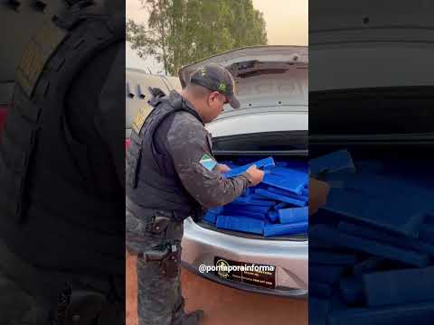 PMs do DOF apreenderam na MS-295, em Tacuru, 412 quilos de maconha