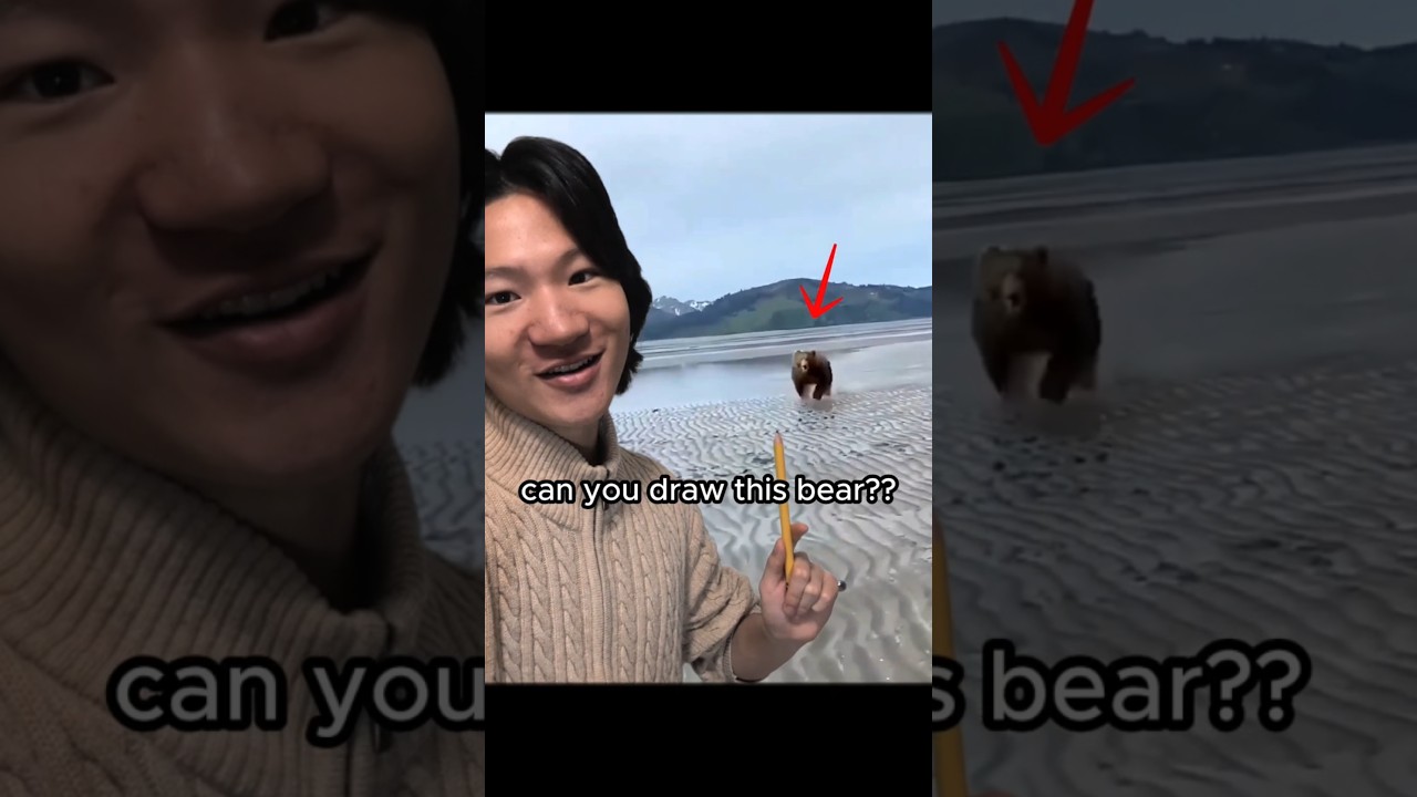 How CUTE can you draw this BEAR??