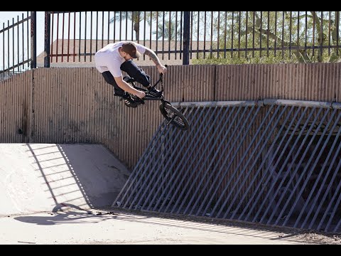 ETHAN GROTHE - For The Birds