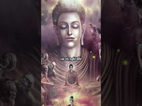 Buddha giáo giới cho Sudata trước lúc lâm chung [3]. #foryou #viral #quotes