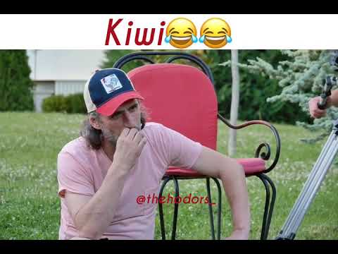 Kiwi😂 - stupcat 2019 ( gjirafa video )