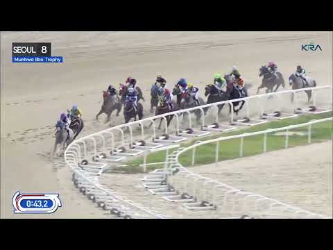 (Seoul) 2022.10.02 R8 Munhwa Ilbo Trophy - Juvenile Listed