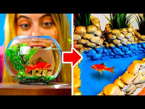 DIY AQUARIUMS and FOUNTAINS You Can Build at Home