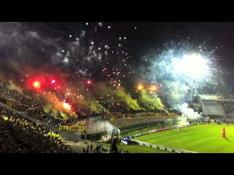 PEÑAROL CAMPEÓN URUGUAYO 2012-2013