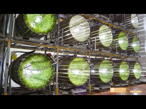 Vidéo Zoomx Production