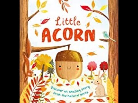 Little Acorn