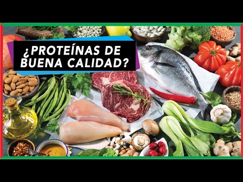 ¿Las proteínas de origen animal son mejores?  | Fundamento bioquímico