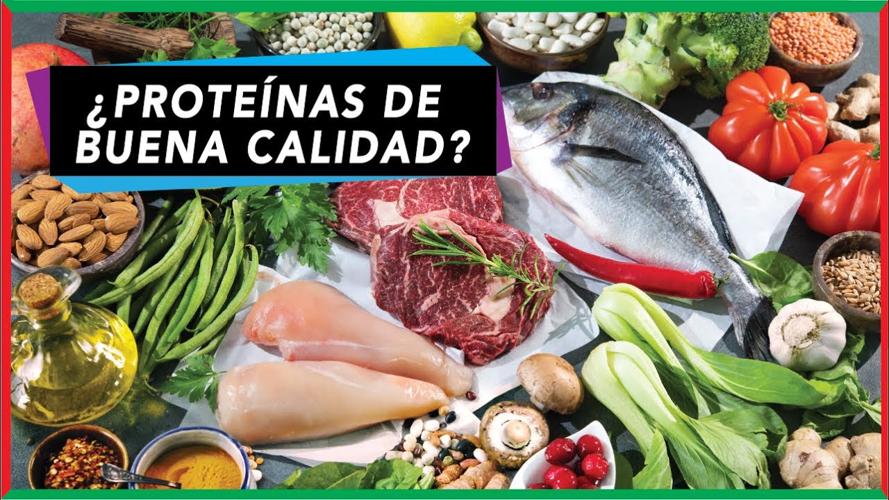 ¿Las proteínas de origen animal son mejores?  | Fundamento bioquímico
