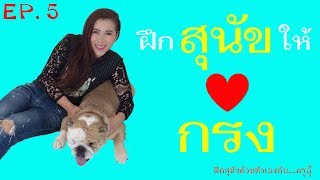 ฝึกสุนัขด้วยตัวเอง By : ครูอุ๊ Ep. 5 ตอนฝึกสุนัขให้รักกรง