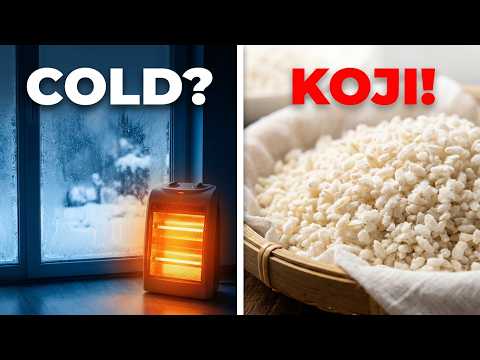 download lagu mp3 mp4 Rice Koji For Sale, download lagu Rice Koji For Sale gratis, unduh video klip Rice Koji For Sale