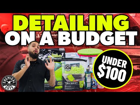 We bought as many detailing products as possible with $100! - How many washes can we get out of it?