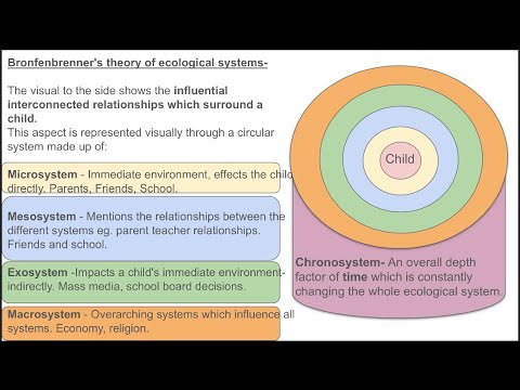 Bronfenbrenners theory of ecological systems presented by Lauren Brown 