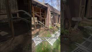 Decorating Gardens by the Chicken Coop