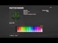 Embleme Feuille de cannabis Bo2 