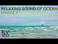 8 HRS Peaceful Ambience Of Ocean Waves Seagulls Squawking Relaxing Sound Of Pacific Ocean 2