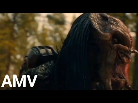 DEPREDATOR PREY AMV.