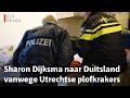 De burgemeester wil de Duitsers vertellen dat 'we er alles aan doen' | RTV Utrecht