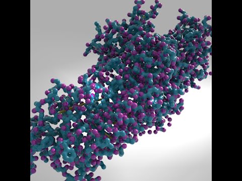 Create Bonds HDA || The Protein Toolkit || Houdini Tutorial