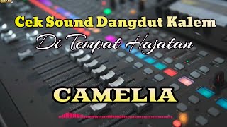 Download lagu LAGU UNTUK CEK SOUND 'Camelia' glerrr mp3 Download lagu LAGU UNTUK CEK SOUND 'Camelia' glerrr mp3