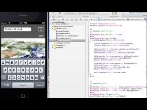 ios code sample capture all View (image and text)