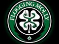 Flogging Molly / Don't Shut Em Down