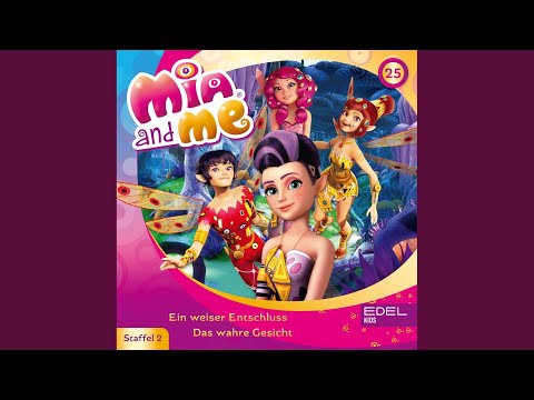 Das wahre Gesicht - Teil 14