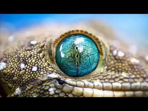 Minimal House  Juli Holz   Angst Oliver Koletzki remix   YouTube