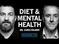 Dr. Chris Palmer: Diet & Nutrition for Mental Health | Huberman Lab Podcast #99