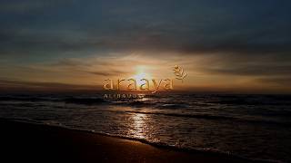 Araaya