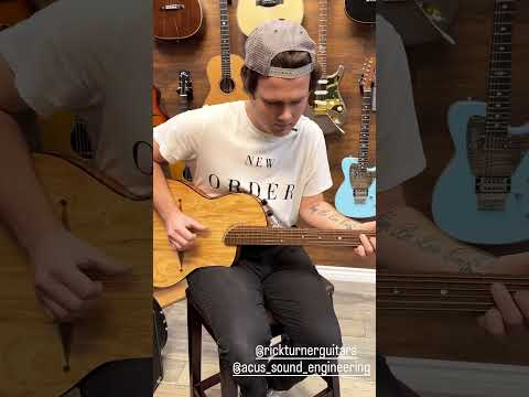 Rick Turner Renaissance RS6 2023 - Ash image 10