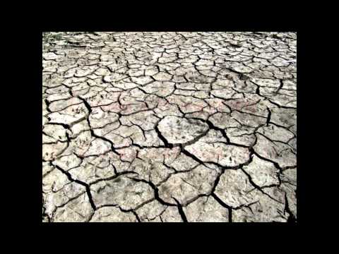 Vida Catingueira video