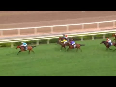 🇭🇰 Queen Elizabeth II Cup (G1) Winner Romantic Warrior (IRE) 🏆