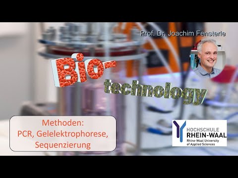 BSH Biotechnologie - Molekularbiologische Methoden: PCR, Gelelektrophorese, Sequenzierung