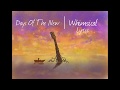 Days of the New - Whimsical (Lyrics)