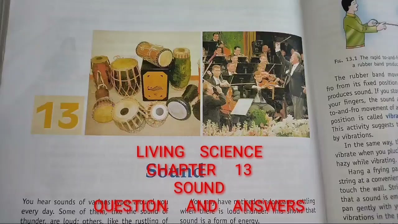 sound chapter 13 class 8 living science ratna sagar questions and answers
