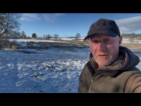A snowy walk around the lake 