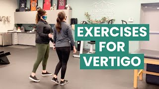 The Physical Therapist Role in Vertigo Treatment