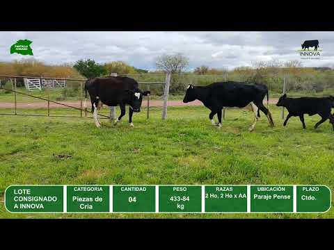 Video del lote L0-000840