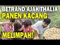 The Onsu Family - Main ke KEBUN SENDIRI, Betrand Ajak Thalia Panen Ribuan Kacang!