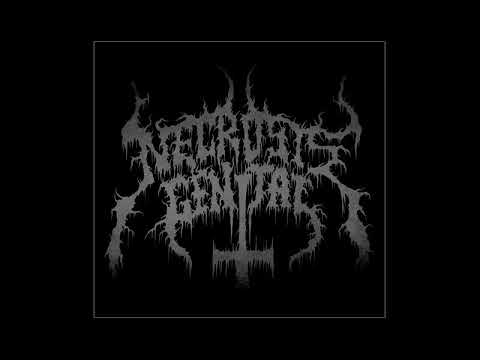 Necrosis Genital  -  My Nocturnal Funeral Commence