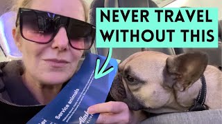 How to Get a Boarding Pass for Your Service Animal (Behind the Scenes)
