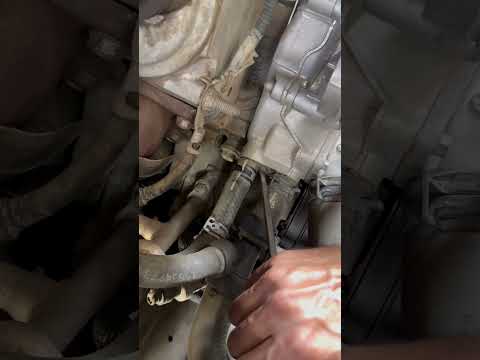 Removing the Engine coolant hose! #shorts #mechanic