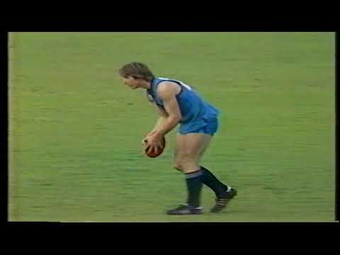 1985 Round 21 Sturt 19.18 132 d South 11.10 76
