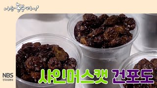 [나는농부다 212회] 샤인머스캣으로 건포도 만들기