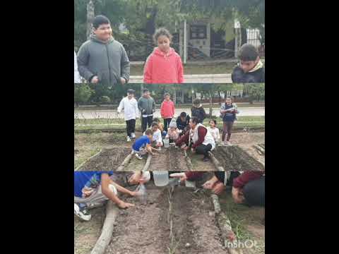 Club de Ciencias"Operación  invernadero".EEPN°579 Pedro Ignacio Castro Barros chaco Colonias unidas